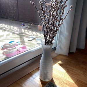 Plant with vase